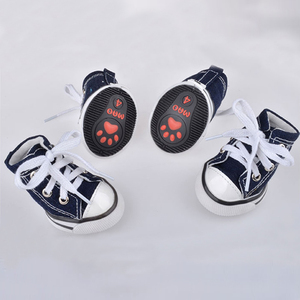 canvas shoe